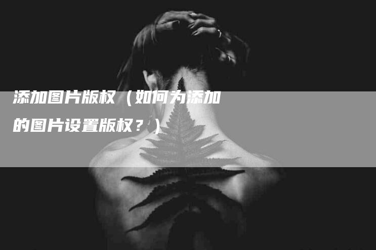 添加图片版权（如何为添加的图片设置版权？）