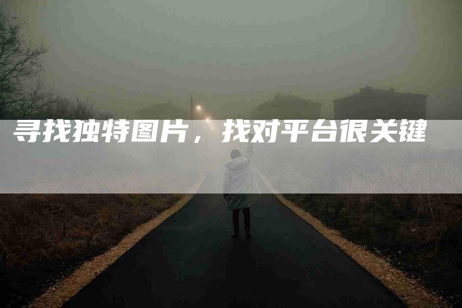 寻找独特图片，找对平台很关键