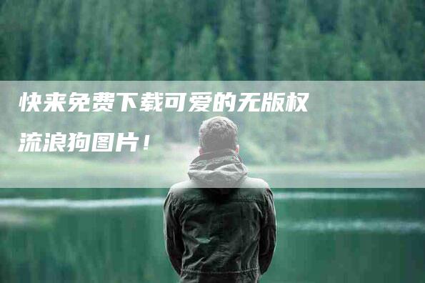 快来免费下载可爱的无版权流浪狗图片！