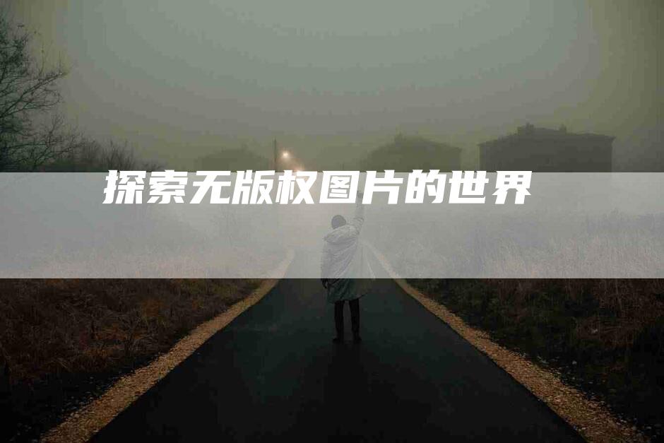 探索无版权图片的世界