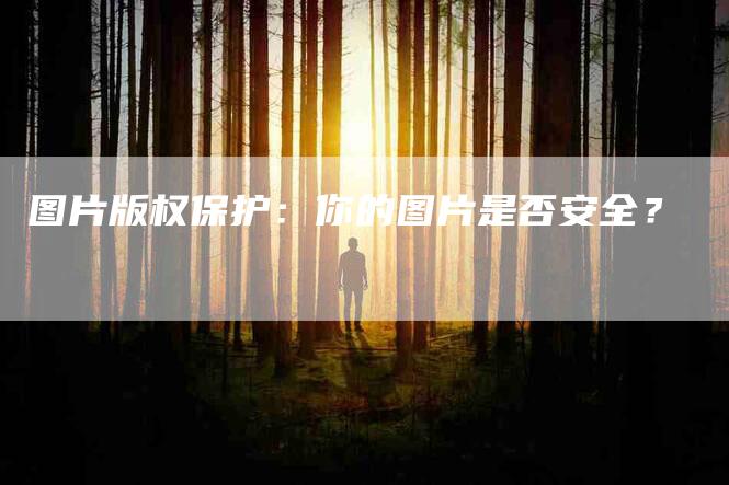 图片版权保护：你的图片是否安全？