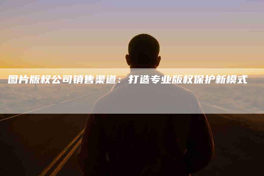 图片版权公司销售渠道：打造专业版权保护新模式