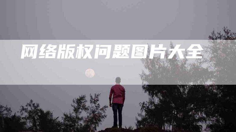 网络版权问题图片大全