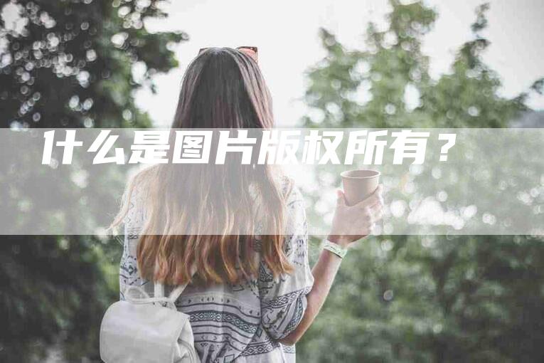 什么是图片版权所有？