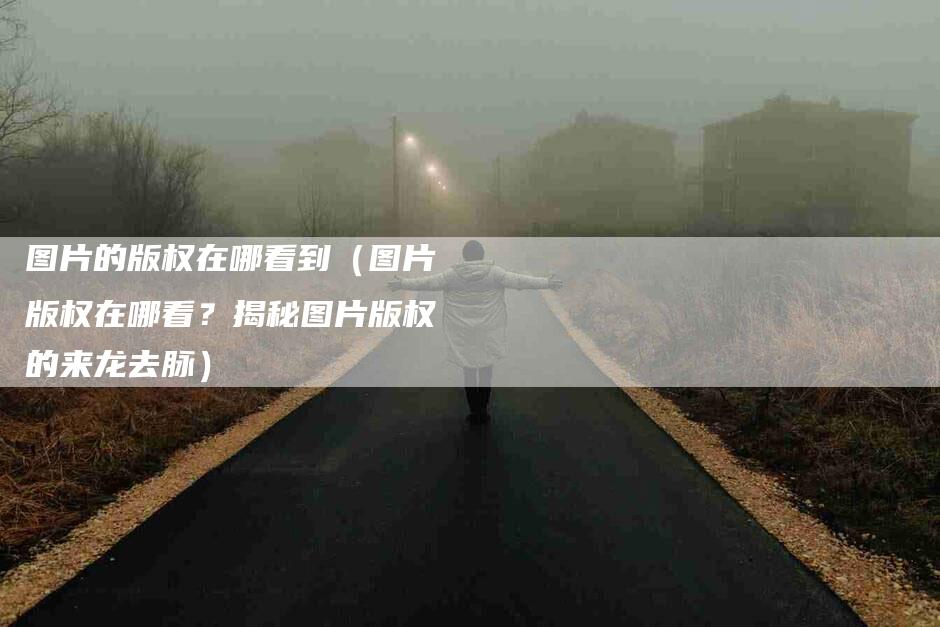 图片的版权在哪看到（图片版权在哪看？揭秘图片版权的来龙去脉）