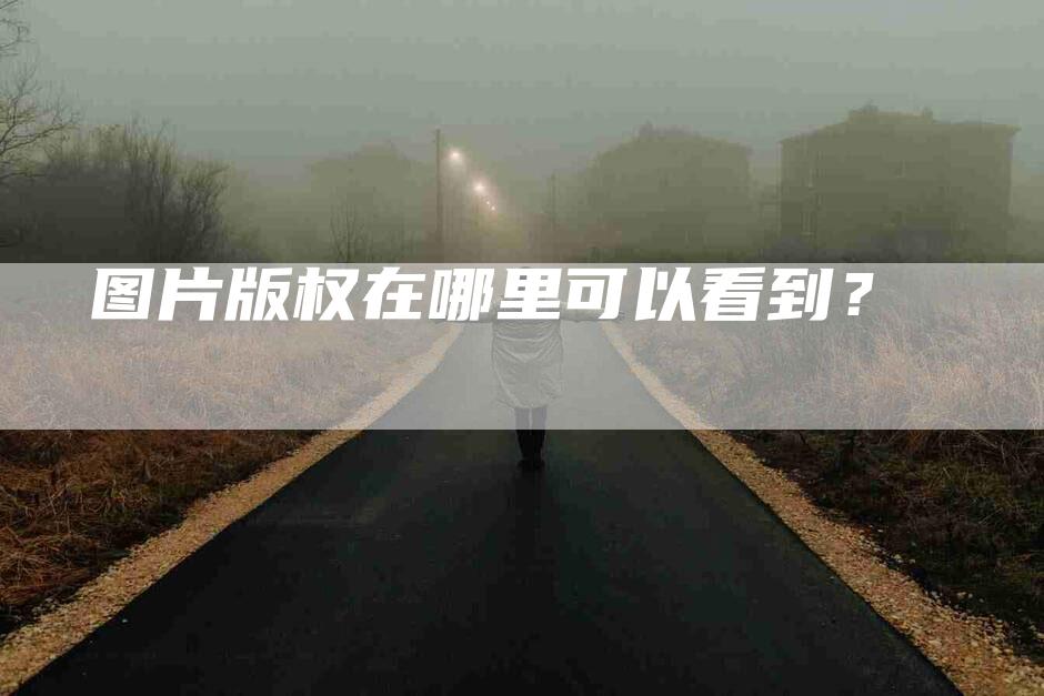 图片版权在哪里可以看到？