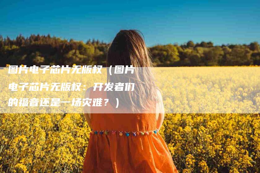 图片电子芯片无版权（图片电子芯片无版权：开发者们的福音还是一场灾难？）