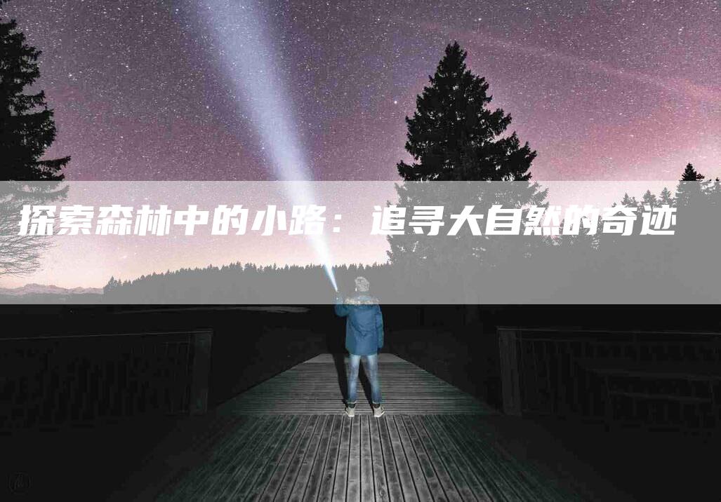 探索森林中的小路：追寻大自然的奇迹