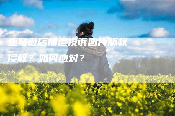 亚马逊店铺遭投诉图片版权侵权？如何应对？