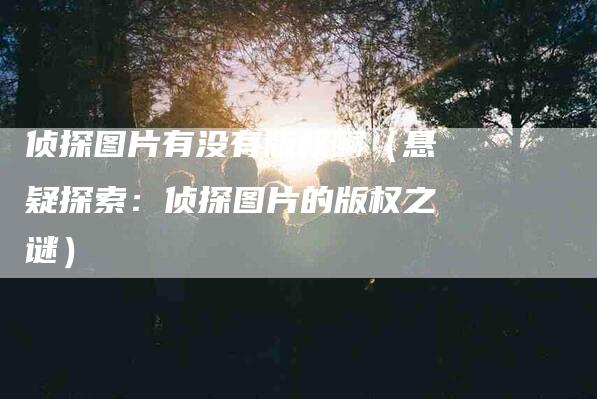 侦探图片有没有版权啊（悬疑探索：侦探图片的版权之谜）