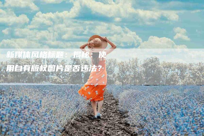 新媒体风格标题：揭秘：使用自有版权图片是否违法？