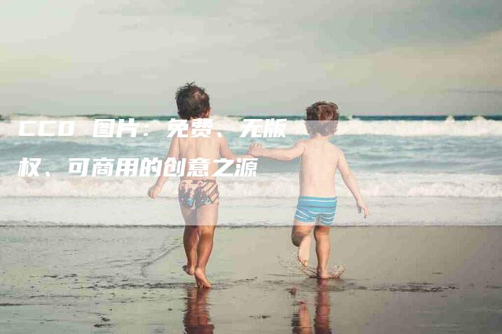 CC0 图片：免费、无版权、可商用的创意之源