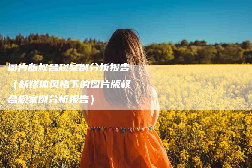 图片版权合规案例分析报告（新媒体风格下的图片版权合规案例分析报告）