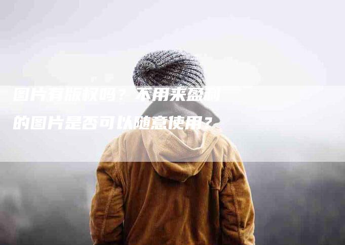 图片有版权吗？不用来盈利的图片是否可以随意使用？