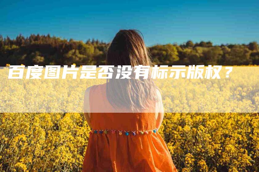 百度图片是否没有标示版权？