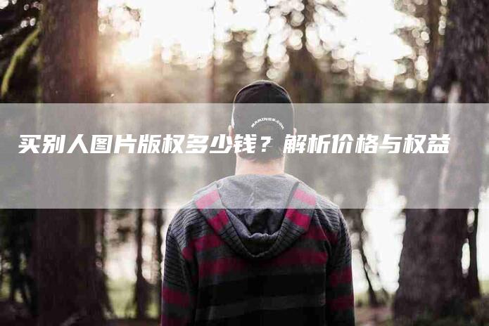 买别人图片版权多少钱？解析价格与权益