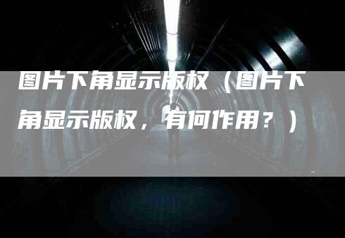 图片下角显示版权（图片下角显示版权，有何作用？）