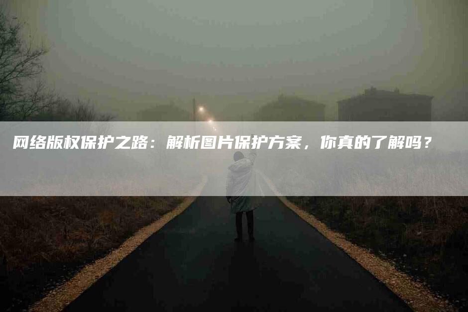 网络版权保护之路：解析图片保护方案，你真的了解吗？