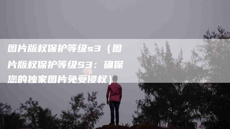 图片版权保护等级s3（图片版权保护等级S3：确保您的独家图片免受侵权）