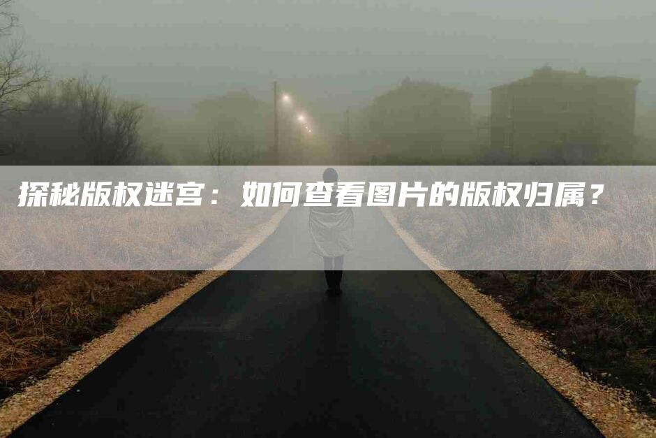 探秘版权迷宫：如何查看图片的版权归属？