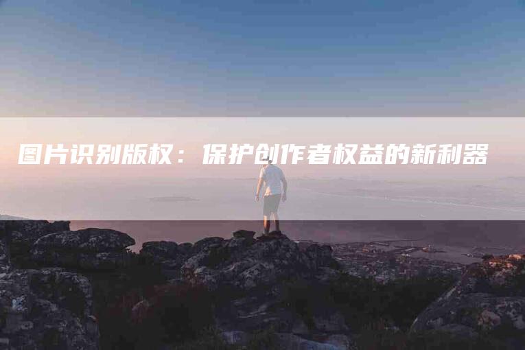 图片识别版权：保护创作者权益的新利器