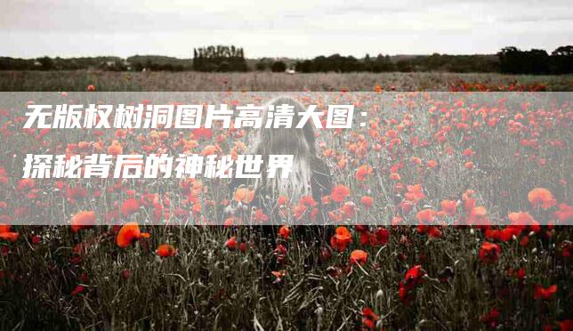 无版权树洞图片高清大图：探秘背后的神秘世界