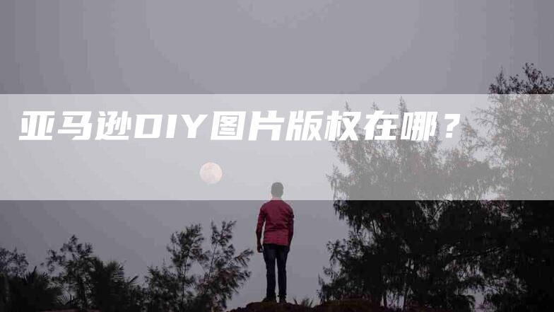 亚马逊DIY图片版权在哪？