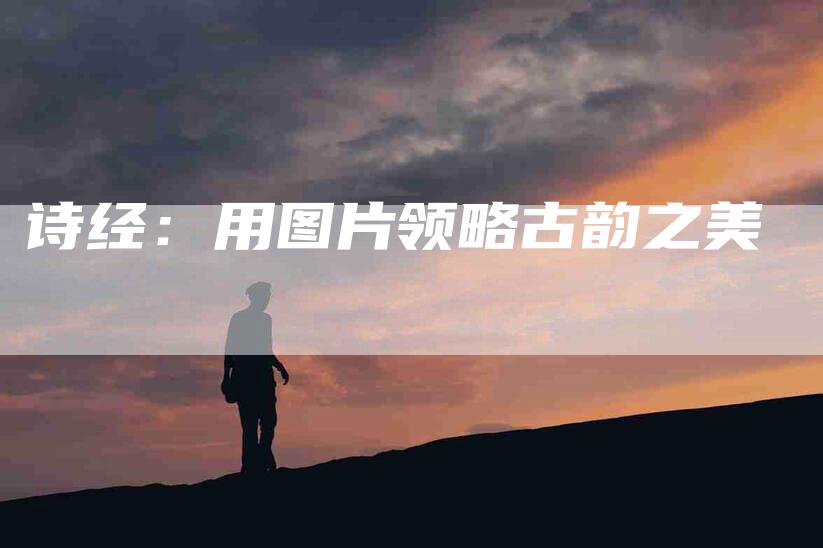 诗经：用图片领略古韵之美