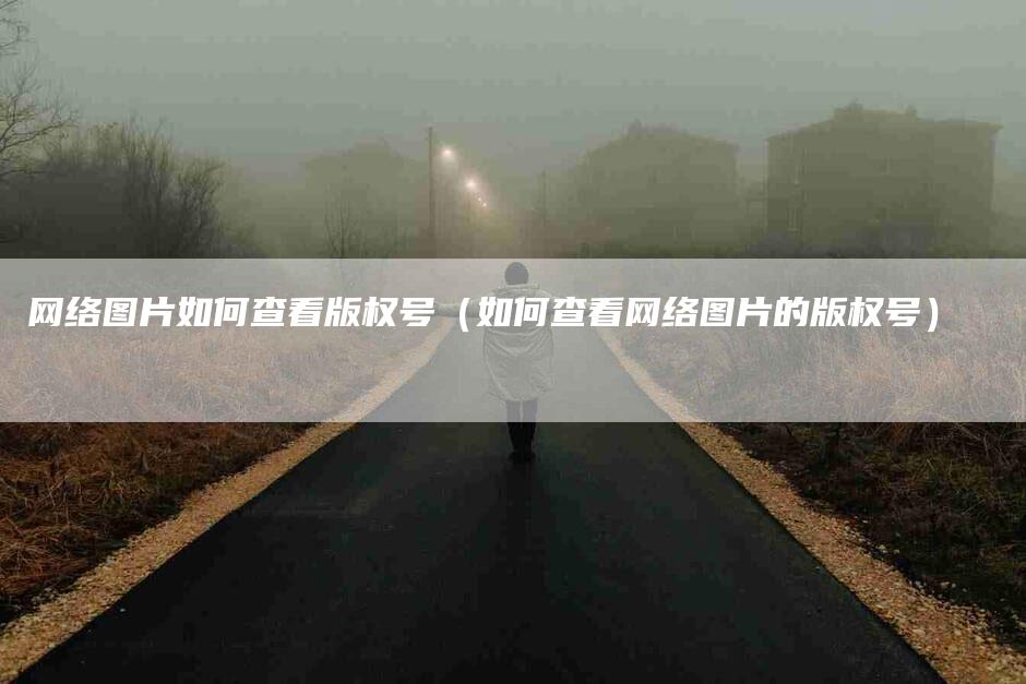 网络图片如何查看版权号（如何查看网络图片的版权号）