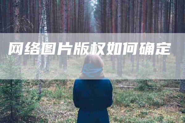 网络图片版权如何确定