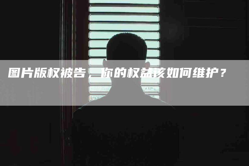 图片版权被告，你的权益该如何维护？