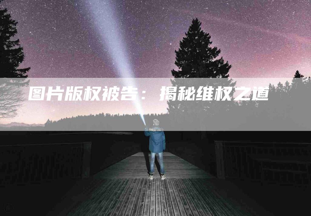 图片版权被告：揭秘维权之道