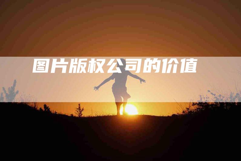 图片版权公司的价值