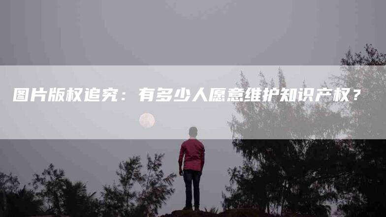 图片版权追究：有多少人愿意维护知识产权？