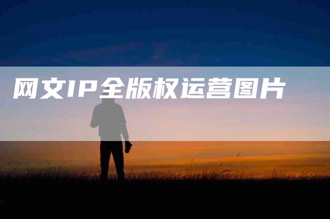 网文IP全版权运营图片