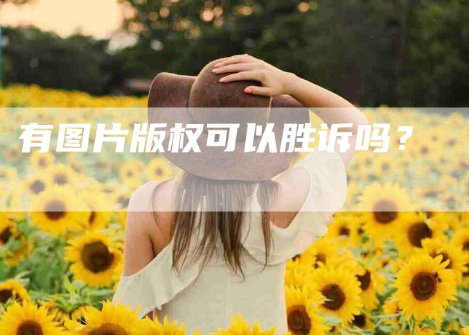 有图片版权可以胜诉吗？