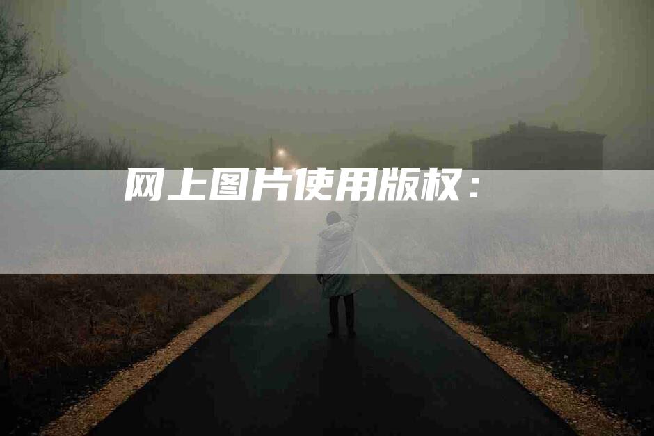 网上图片使用版权：