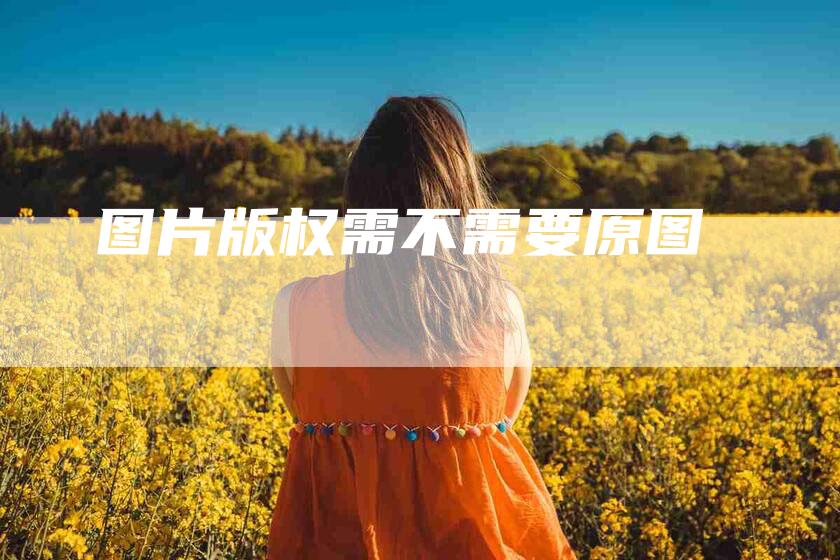 图片版权需不需要原图