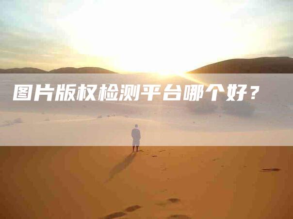 图片版权检测平台哪个好？