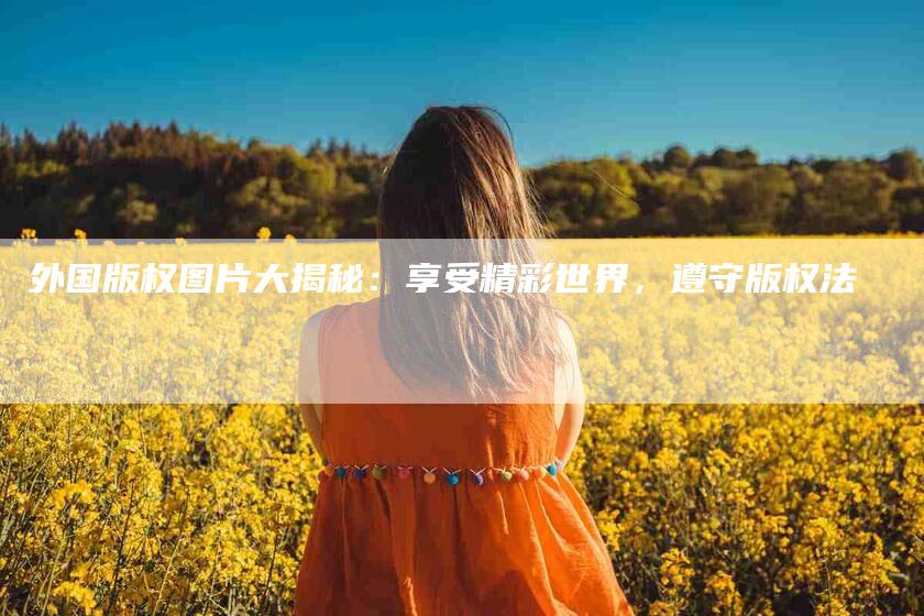 外国版权图片大揭秘：享受精彩世界，遵守版权法