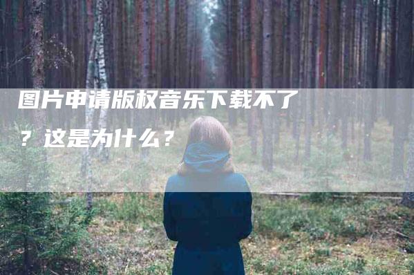 图片申请版权音乐下载不了？这是为什么？