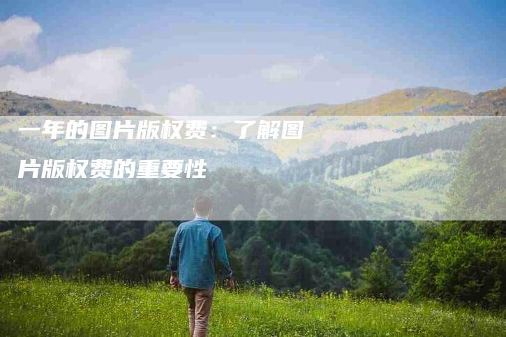 一年的图片版权费：了解图片版权费的重要性