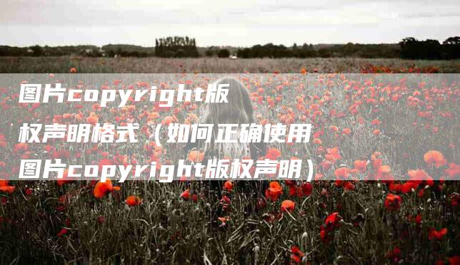 图片copyright版权声明格式（如何正确使用图片copyright版权声明）