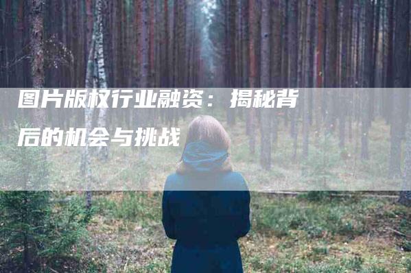 图片版权行业融资：揭秘背后的机会与挑战