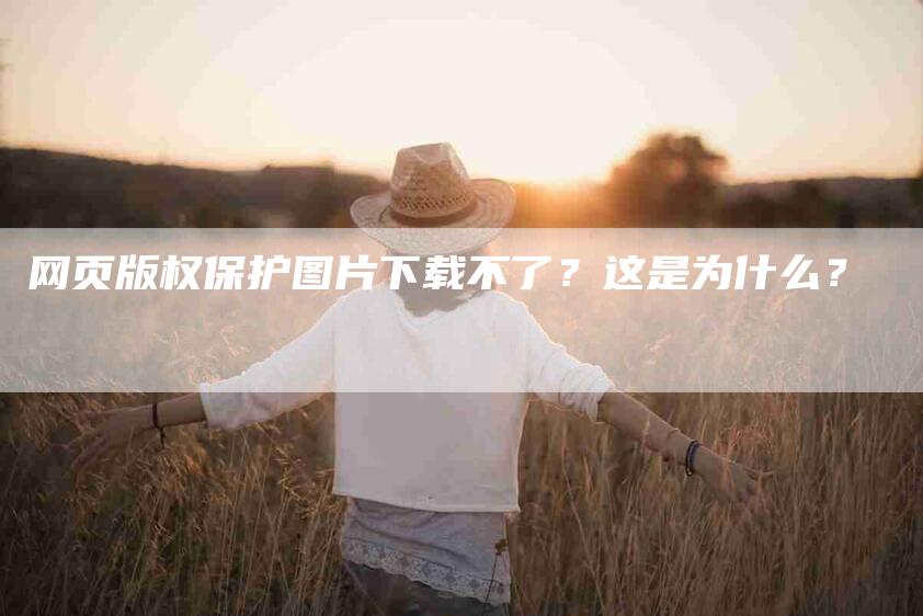 网页版权保护图片下载不了？这是为什么？