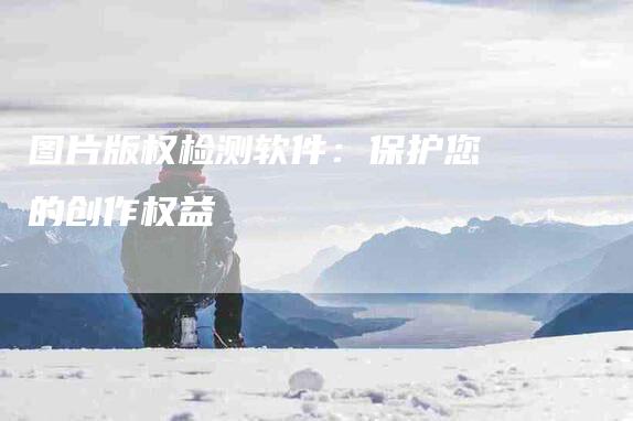 图片版权检测软件：保护您的创作权益