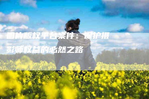 图片版权平台案件：保护摄影师权益的必然之路