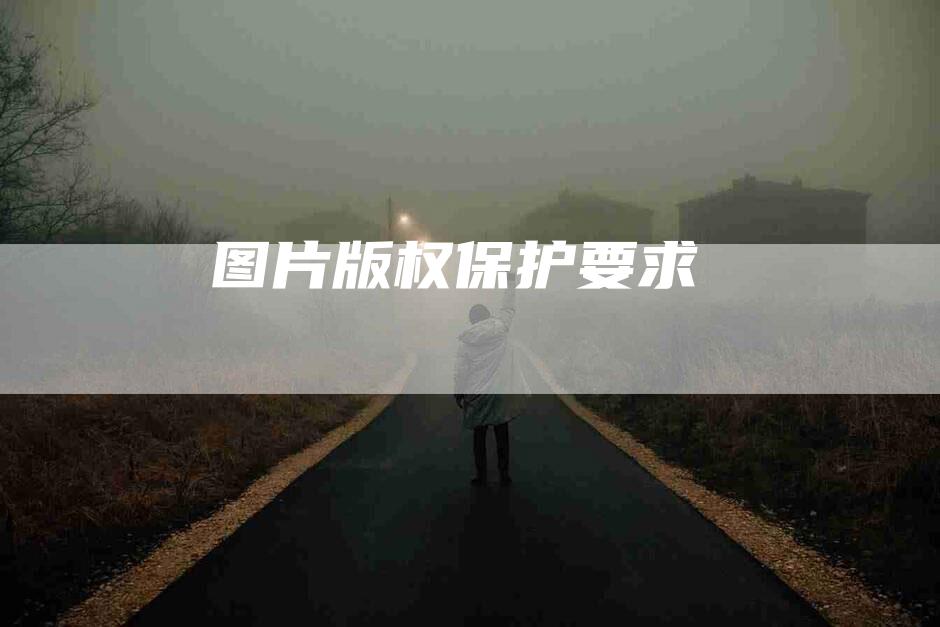 图片版权保护要求