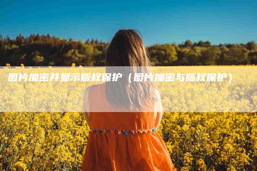 图片加密并显示版权保护（图片加密与版权保护）