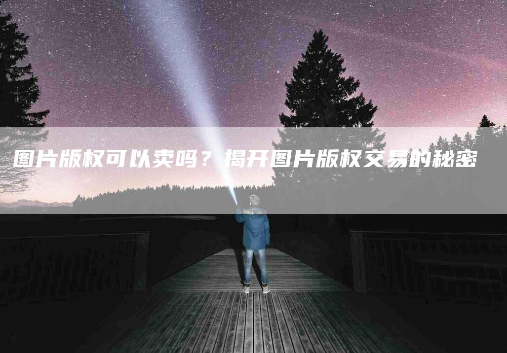 图片版权可以卖吗？揭开图片版权交易的秘密